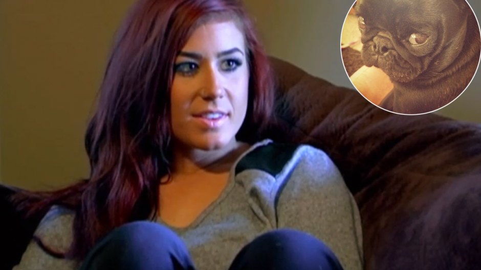 Chelsea houska teen mom dog dead