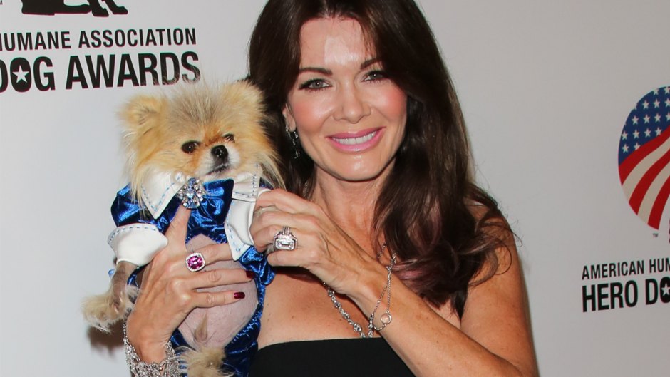 lisa vanderpump giggy