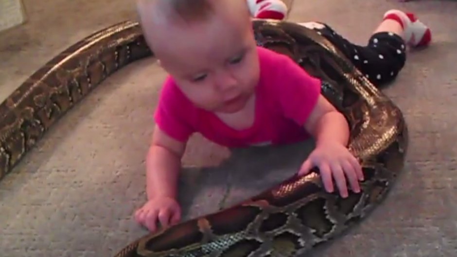 Snake baby playing