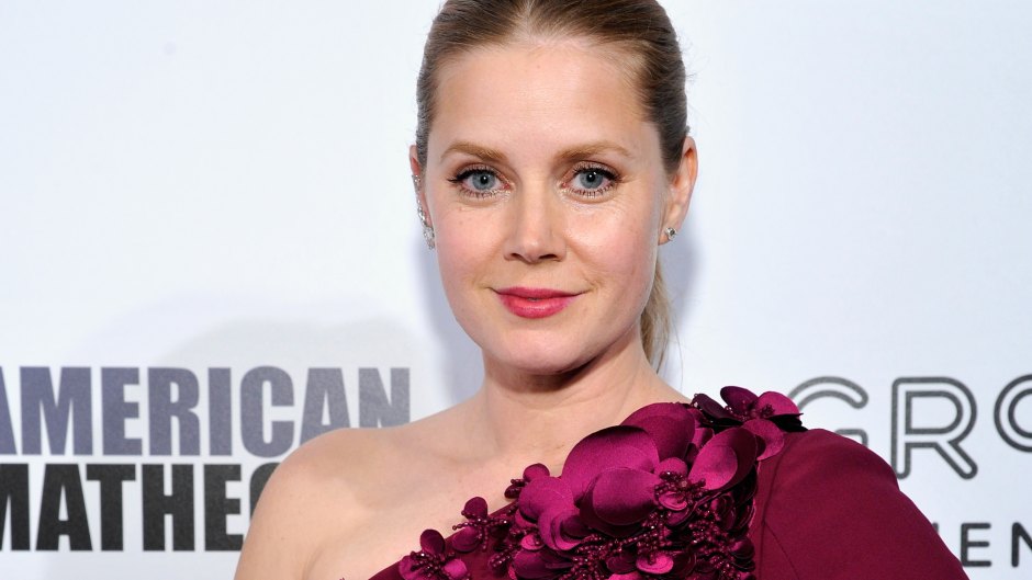 Amy adams pregnant baby no 2