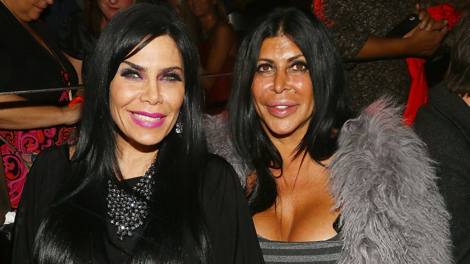 Renee graziano big ang mob wives reboot