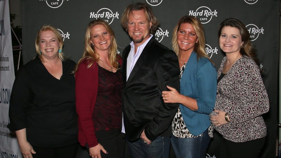 TLC sister wives season 8 premiere