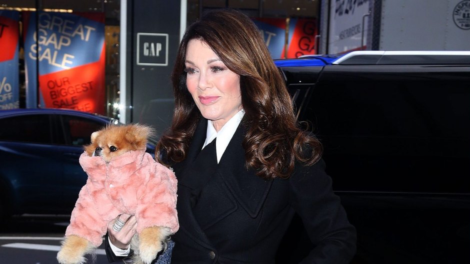 lisa vanderpump real housewives of beverly hills grammys