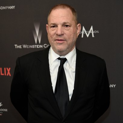 Meet Convicted Rapist Harvey Weinstein's 2 Ex-Wives, Eve Chilton and Georgina Chapman feature